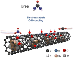 Graphical abstract: CuZn nanoalloy encapsulated within tannic acid-functionalized carbon nanotubes for efficient electrocatalytic urea synthesis