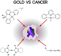 Graphical abstract: A golden future in medicinal inorganic chemistry: the promise of anticancer gold organometallic compounds