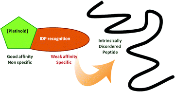 Graphical abstract: Platinoid complexes to target monomeric disordered peptides: a forthcoming solution against amyloid diseases?