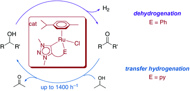 Graphical abstract: Synthesis and catalytic alcohol oxidation and ketone transfer hydrogenation activity of donor-functionalized mesoionic triazolylidene ruthenium(ii) complexes