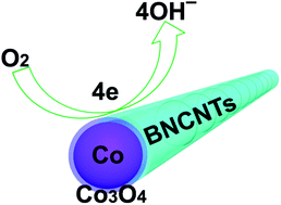 Graphical abstract: Core–shell Co@Co3O4 nanoparticle-embedded bamboo-like nitrogen-doped carbon nanotubes (BNCNTs) as a highly active electrocatalyst for the oxygen reduction reaction