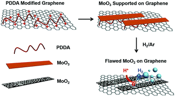 Graphical abstract: Flawed MoO2 belts transformed from MoO3 on a graphene template for the hydrogen evolution reaction