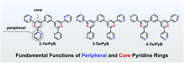 Graphical abstract: Fundamental functions of peripheral and core pyridine rings in a series of bis-terpyridine derivatives for high-performance organic light-emitting devices