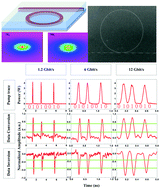 Graphical abstract: Polarization-manipulated all-optical cross-wavelength data inversion in a C-rich SiCx micro-ring