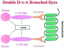 Graphical abstract: Double D–π–A branched dyes – a new class of metal-free organic dyes for efficient dye-sensitized solar cells