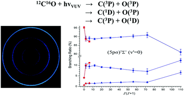 Graphical abstract: Rotational dependence of the branching ratios and fragment angular distributions for the photodissociation of 12C16O in the Rydberg 4p(2) and 5p(0) complex region (92.84–93.37 nm)