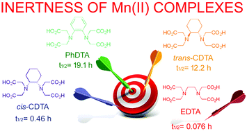 Graphical abstract: Taking the next step toward inert Mn2+ complexes of open-chain ligands: the case of the rigid PhDTA ligand