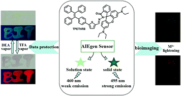 Graphical abstract: Rational design of aggregation-induced emission sensor based on Rhodamine B for turn-on sensing of trivalent metal cations, reversible data protection, and bioimaging