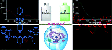 Graphical abstract: A NIR ratiometric fluorescent probe for the ‘naked-eye’ detection of endogenous hypochlorous acid in practical samples