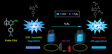 Graphical abstract: A simple camphor based AIE fluorescent probe for highly specific and sensitive detection of hydrazine and its application in living cells
