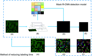 Graphical abstract: A novel method based on a Mask R-CNN model for processing dPCR images