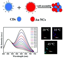 Graphical abstract: An electrostatic self-assembly route to prepare C-dots/gold nanoclusters for dual-emission ratiometric optical thermometry in living cells