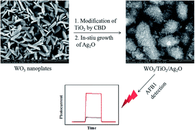 Graphical abstract: An ultrasensitive label-free photoelectrochemical sensor based on Ag2O-sensitized WO3/TiO2 acicular composite for AFB1 detection