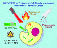 Graphical abstract: Polydopamine-decorated tobacco mosaic virus for photoacoustic/magnetic resonance bimodal imaging and photothermal cancer therapy