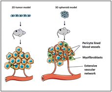 Graphical abstract: An ovarian spheroid based tumor model that represents vascularized tumors and enables the investigation of nanomedicine therapeutics