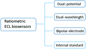 Graphical abstract: Recent advances of ratiometric electrochemiluminescence biosensors