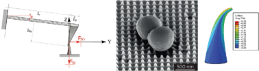 Graphical abstract: Quantitative mechanics of 3D printed nanopillars interacting with bacterial cells