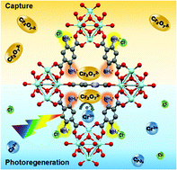 Graphical abstract: A novel integrated Cr(vi) adsorption–photoreduction system using MOF@polymer composite beads