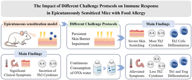 Graphical abstract: The impact of different challenge protocols on immune response in epicutaneously sensitized mice with food allergy