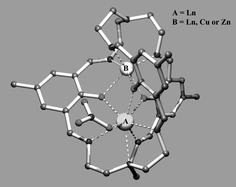Graphical abstract: Structural characterisation, EPR and magnetic properties of f–f and f–d lanthanide(iii) phenolic cryptates