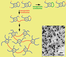 Graphical abstract: A novel approach to magneto-responsive polymeric gels assisted by iron nanoparticles as nano cross-linkers