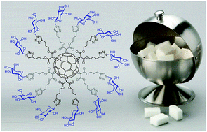 Graphical abstract: Fullerene sugar balls