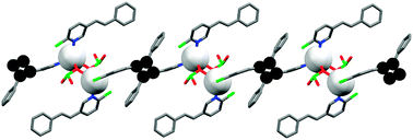 Graphical abstract: Single-crystal-to-single-crystal direct cross-linking and photopolymerisation of a discrete Ag(i) complex to give a 1D polycyclobutane coordination polymer