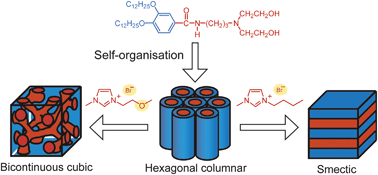 Graphical abstract: Co-organisation of ionic liquids with amphiphilic diethanolamines: construction of 3D continuous ionic nanochannels through the induction of liquid–crystalline bicontinuous cubic phases