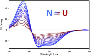 Graphical abstract: Hyper-thermal stability and unprecedented re-folding of solvent-free liquid myoglobin