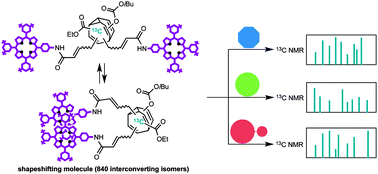 Graphical abstract: Chemical sensing with shapeshifting organic molecules