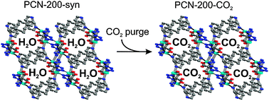Graphical abstract: Unprecedented activation and CO2 capture properties of an elastic single-molecule trap