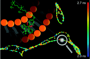 Graphical abstract: A molecular rotor for measuring viscosity in plasma membranes of live cells