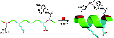 Graphical abstract: Functional, metal-based crosslinkers for α-helix induction in short peptides