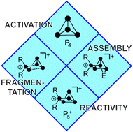 Graphical abstract: The chemistry of cationic polyphosphorus cages – syntheses, structure and reactivity