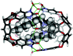 Graphical abstract: Folded alkyl chains in water-soluble capsules and cavitands