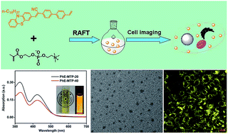 Graphical abstract: Ultrabright and biocompatible AIE dye based zwitterionic polymeric nanoparticles for biological imaging