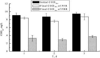 Graphical abstract: Comparative study of the bio-remediation of eutrophic river water, using two biofilm processes