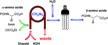 Graphical abstract: Continuous flow synthesis of β-amino acids from α-amino acids via Arndt–Eistert homologation