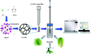 Graphical abstract: Zeolitic imidazole framework templated synthesis of nanoporous carbon as a novel fiber coating for solid-phase microextraction