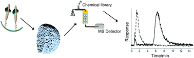 Graphical abstract: Lipodisks integrated with weak affinity chromatography enable fragment screening of integral membrane proteins
