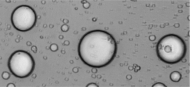 Graphical abstract: In vitro gene expression within membrane-free coacervate protocells