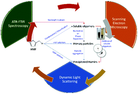 Graphical abstract: Molecular structure, morphology and growth mechanisms and rates of 5-hydroxymethyl furfural (HMF) derived humins