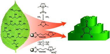 Graphical abstract: Homogeneous and heterogenised masked N-heterocyclic carbenes for bio-based cyclic carbonate synthesis