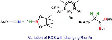 Graphical abstract: Magnesium-catalysed nitrile hydroboration