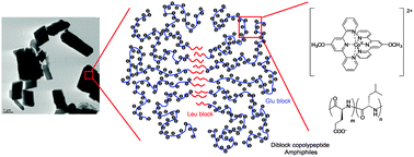 Graphical abstract: Supramolecular control of reverse spin transitions in cobalt(ii) terpyridine complexes with diblock copolypeptide amphiphiles