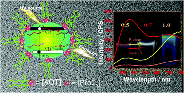 Graphical abstract: Illuminating microemulsions: ionic liquid–CdS quantum dots hybrid materials as potential white light harvesting systems