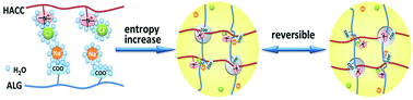 Graphical abstract: A self-healing hydrogel formation strategy via exploiting endothermic interactions between polyelectrolytes