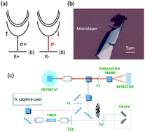 Graphical abstract: Exciton valley dynamics in monolayer WSe2 probed by the two-color ultrafast Kerr rotation