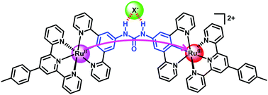 Graphical abstract: Anion-regulated electronic communication in a cyclometalated diruthenium complex with a urea bridge