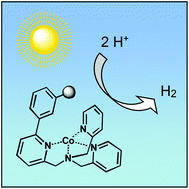 Graphical abstract: Photoinduced hydrogen evolution with new tetradentate cobalt(ii) complexes based on the TPMA ligand